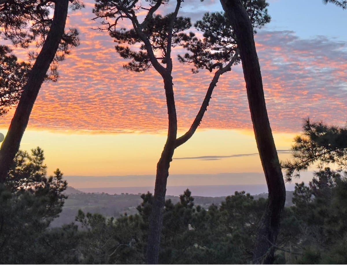 31 Del Mesa Carmel - Photo 5