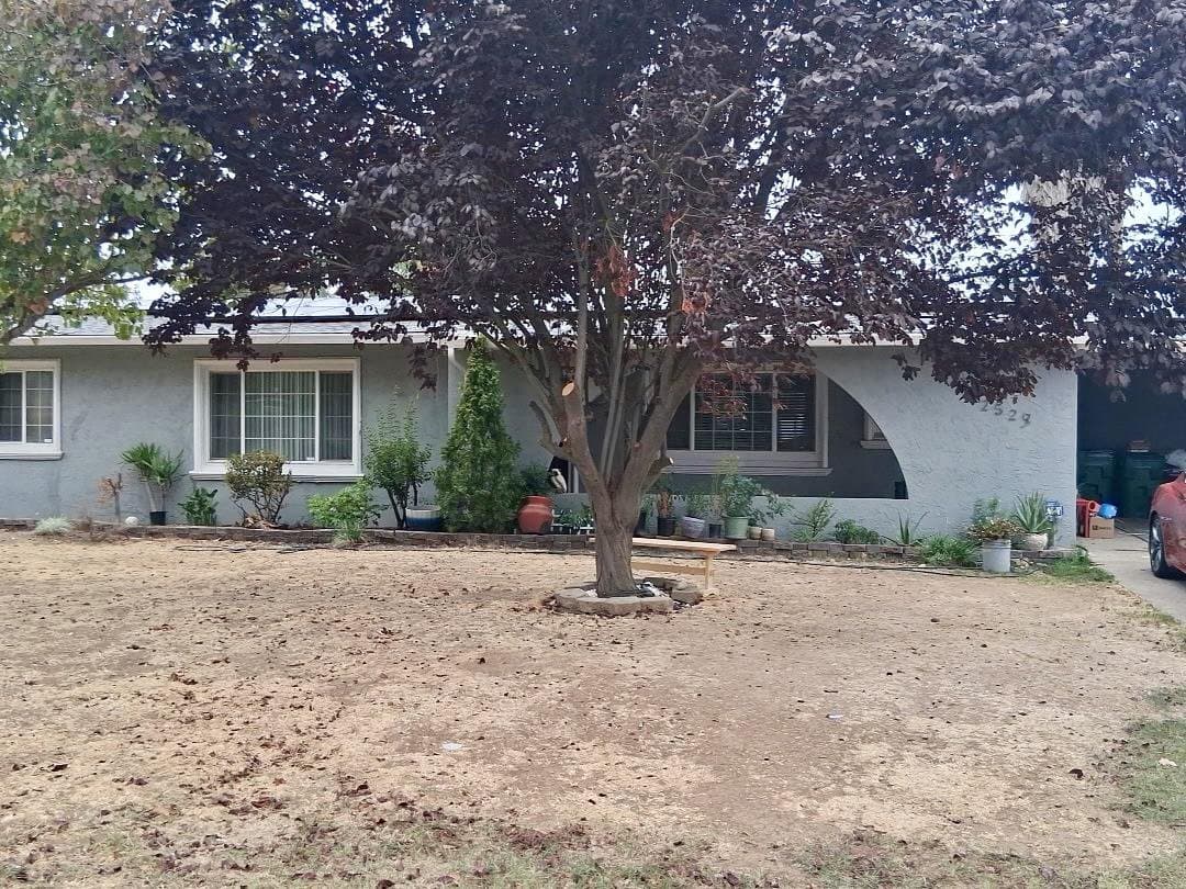 25297 North Eunice Avenue - Photo 1