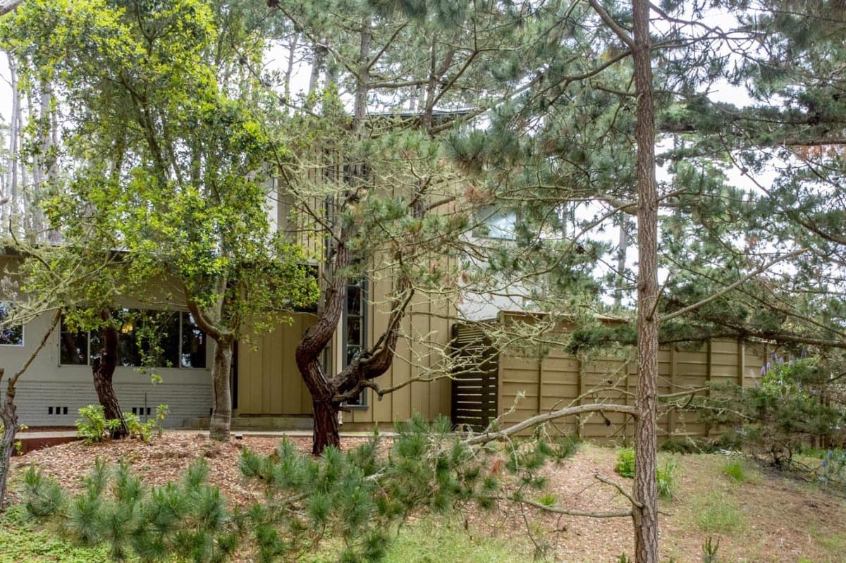 4021 Sunridge Road - Photo 5