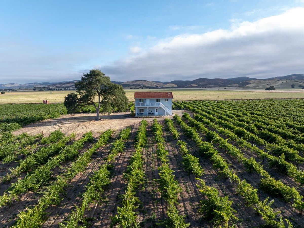 68277 Jolon Road - Photo 2