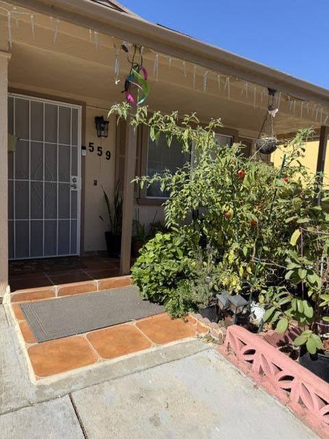 559 Bridge Street - Photo 3