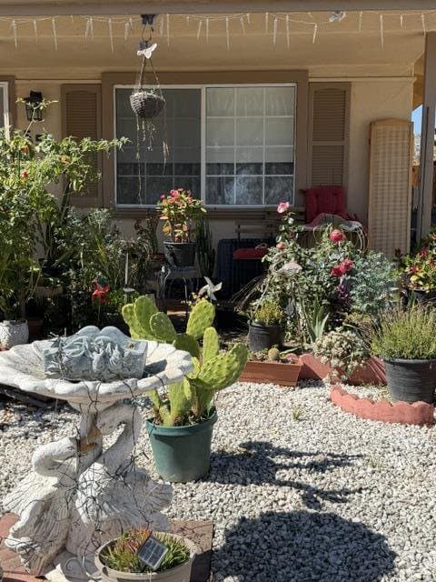 559 Bridge Street - Photo 4
