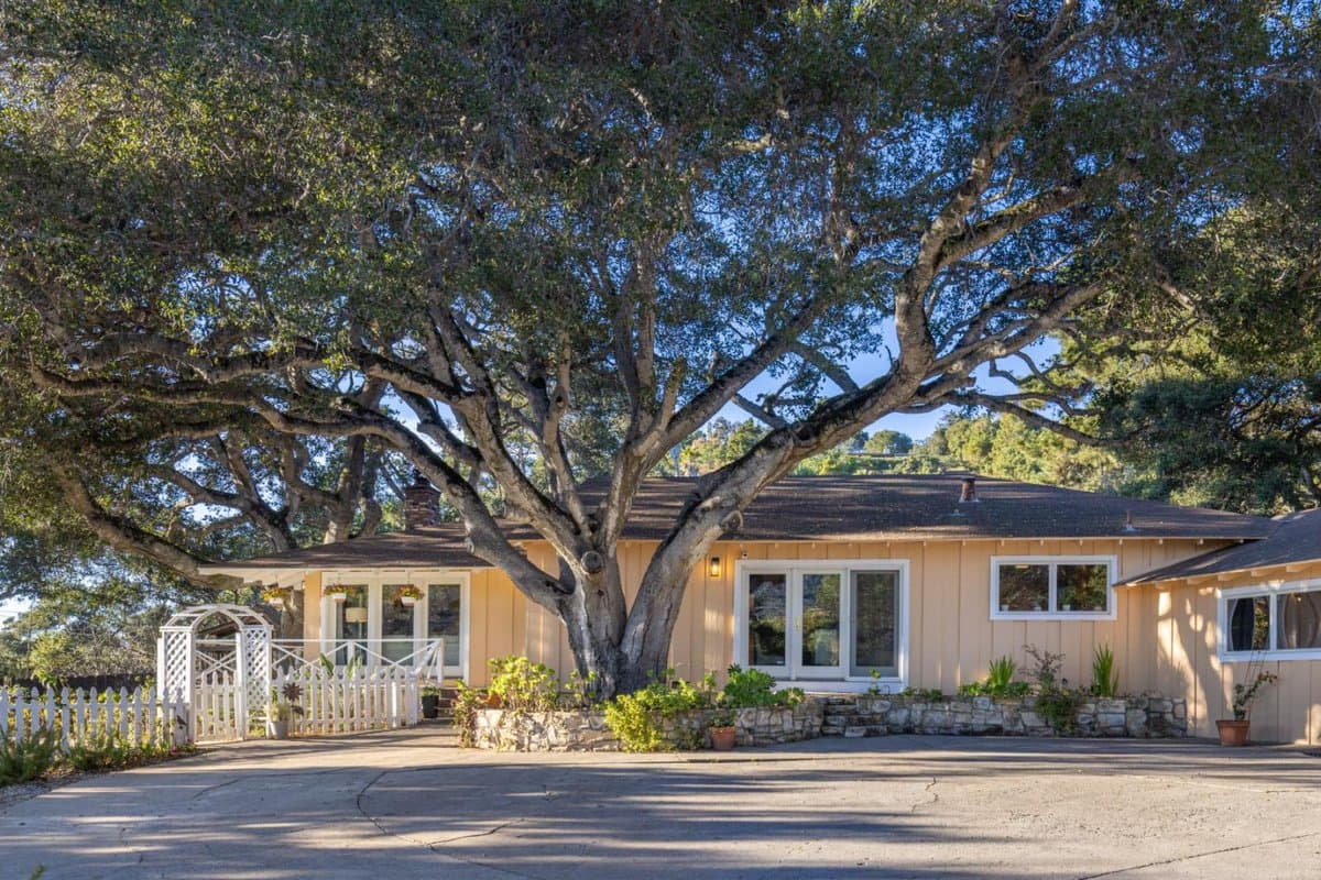 9805 Carmel Valley Road - Photo 2