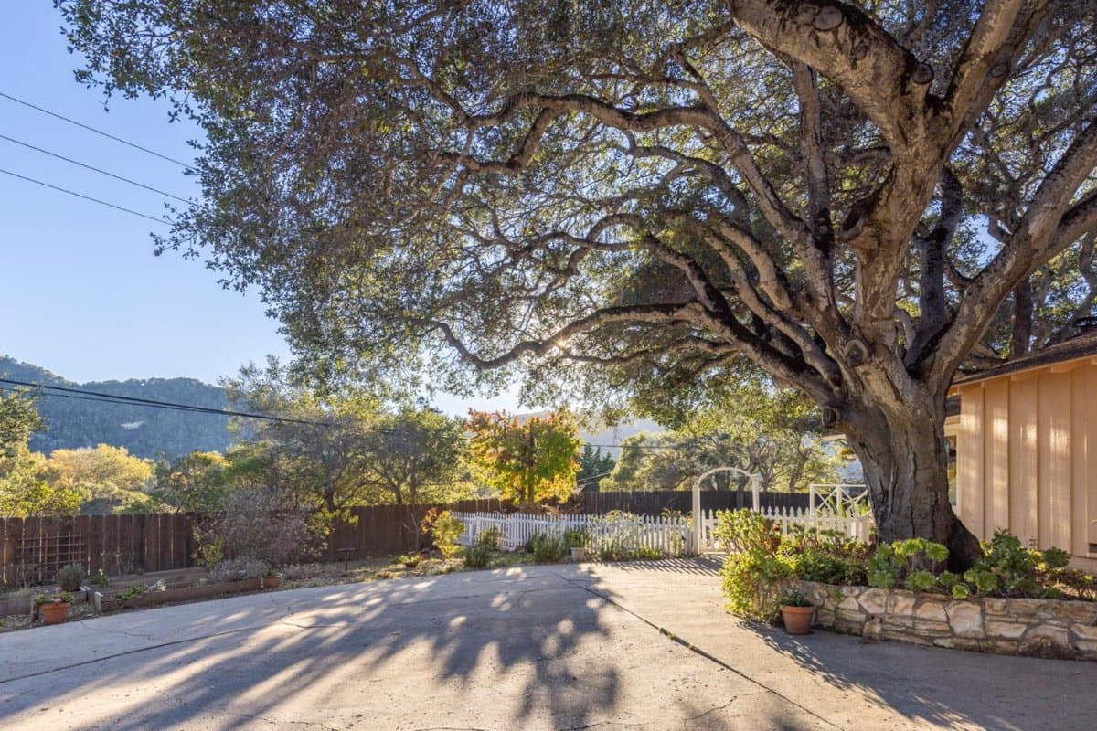 9805 Carmel Valley Road - Photo 3