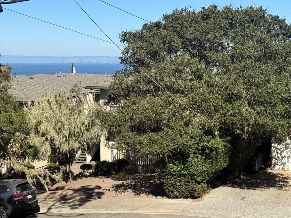 851 Lyndon Street - Photo 4