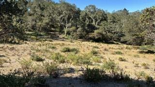 0 Harrington - Photo 5