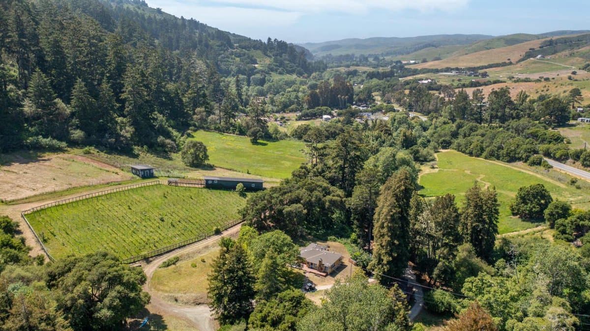 5090 La Honda Road - Photo 1