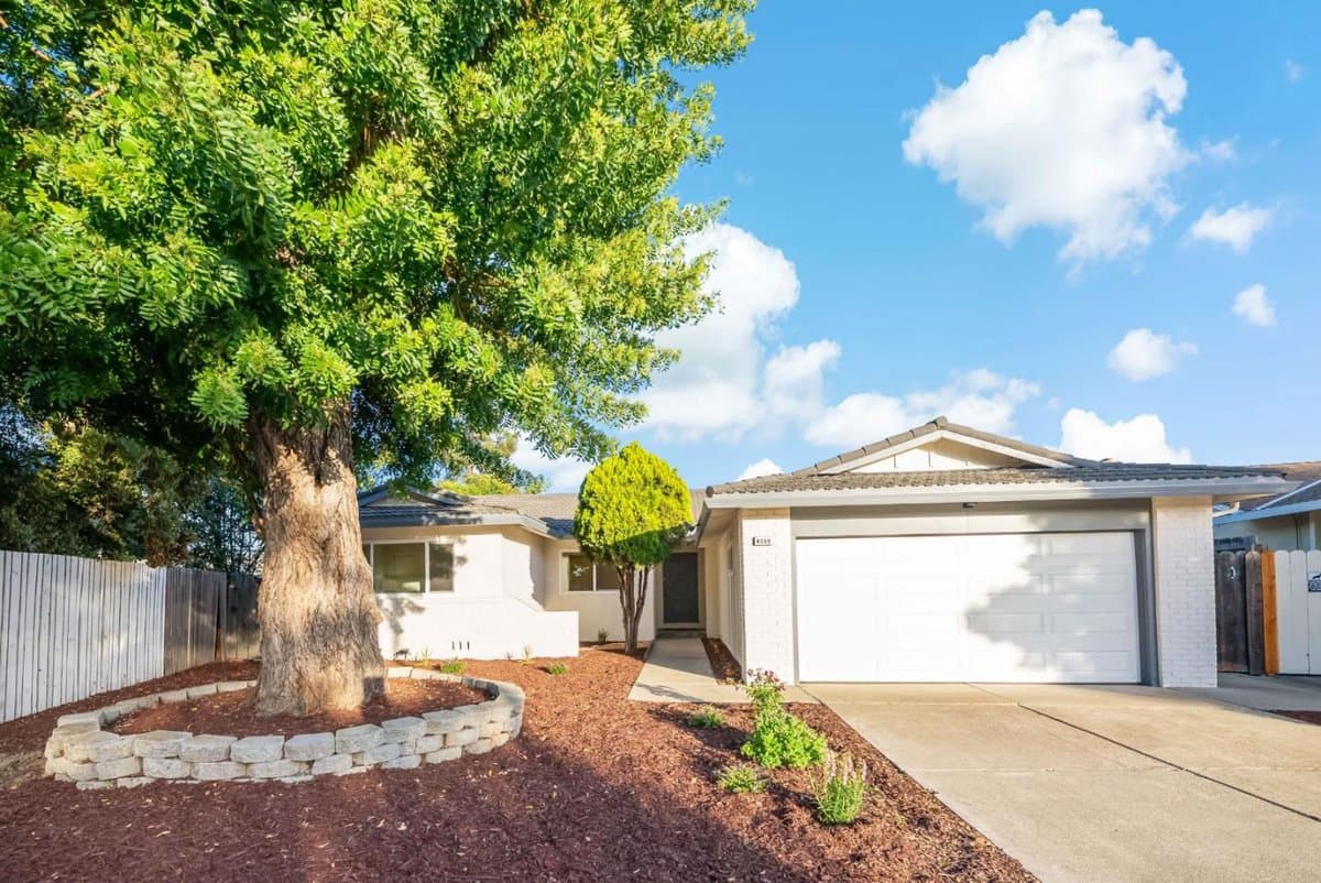 4559 Balmoral Park Court - Photo 2