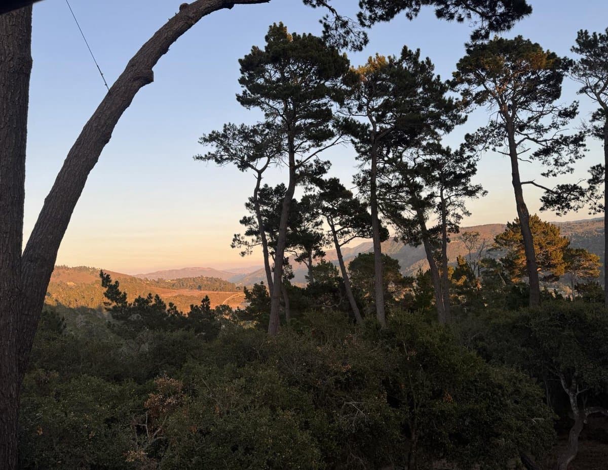 154 DEL MESA CARMEL - Photo 2