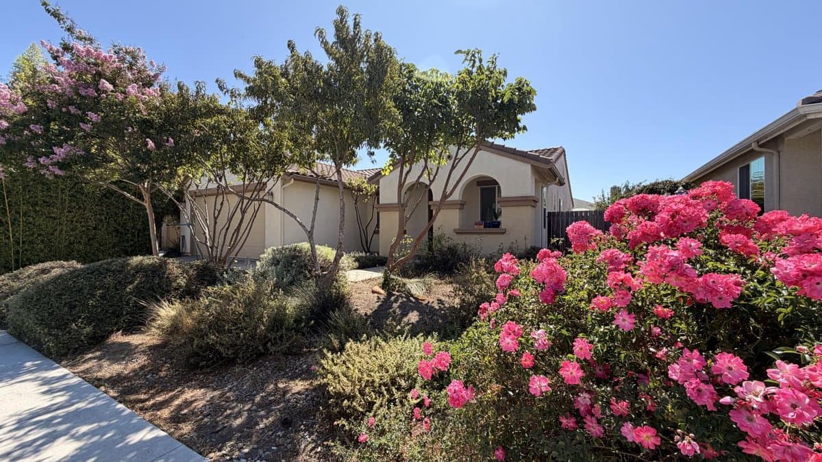 921 Verissimo Court - Photo 3