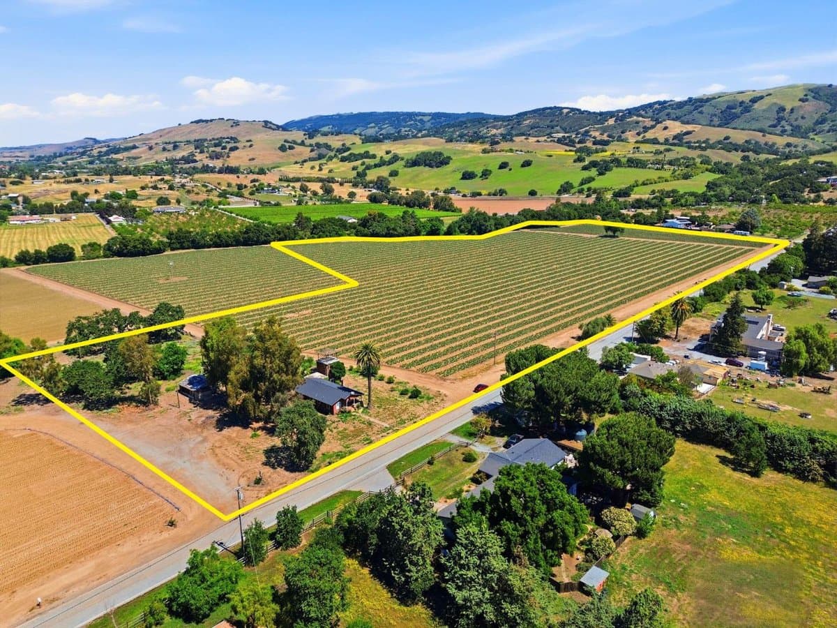 3115 Leavesley Road - Photo 4