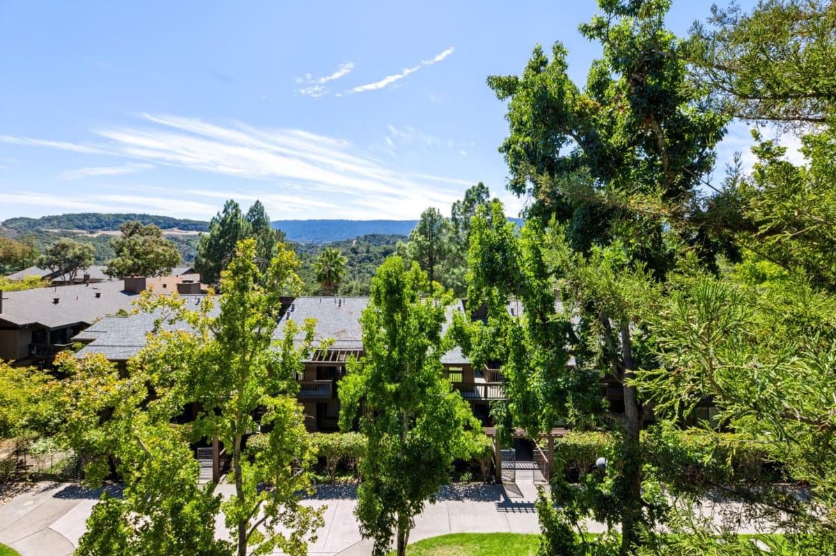 3325 Brittan Avenue #10 - Photo 5