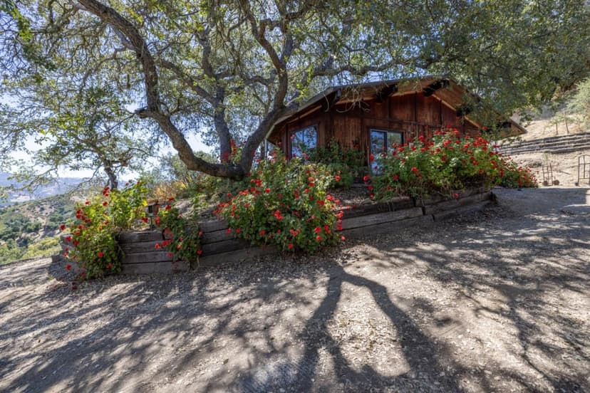 37840 Poppy Tree Lane - Photo 1 of 8