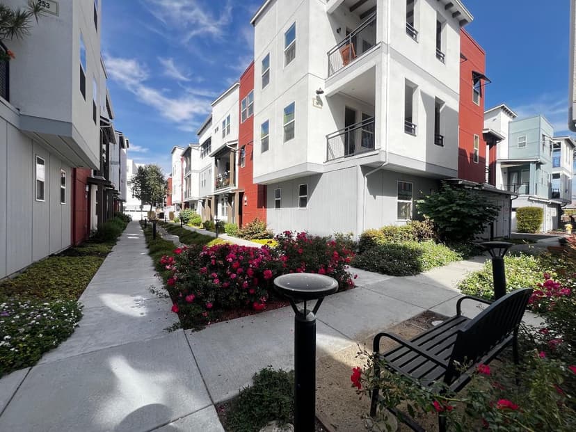 295 Baja Rose Street - Photo 1 of 8